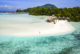 PAPUA-Raja Ampat 2026 (2 group) (1/39)